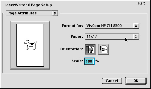 HP Page Setup.jpg (32958 bytes)
