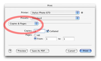epson870-print-dlbx1.jpg (14309 bytes)