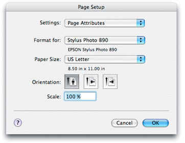 epson_pg_setupsm.jpg (42183 bytes)
