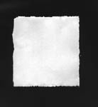 torn papersmall.jpg (4684 bytes)